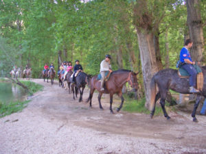 caballos