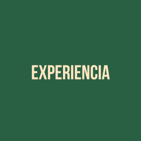 9 - experiencia