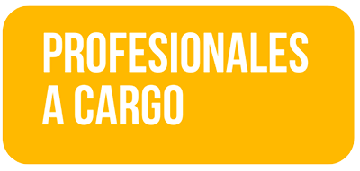 profesionales-a-cargo